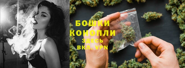 трава Балахна