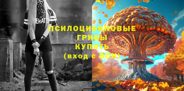 винт Баксан